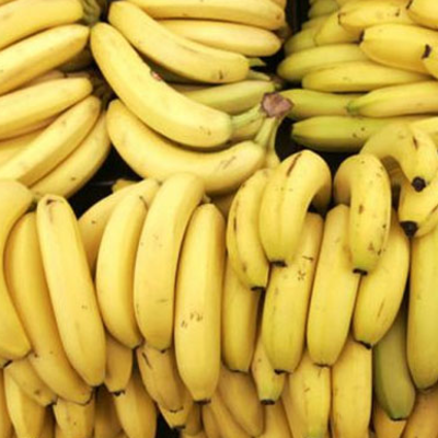 G9 Banana Exporters, Wholesaler & Manufacturer | Globaltradeplaza.com