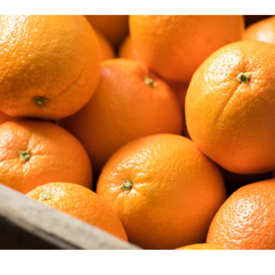 orange Exporters, Wholesaler & Manufacturer | Globaltradeplaza.com