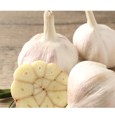 resources of garlic exporters