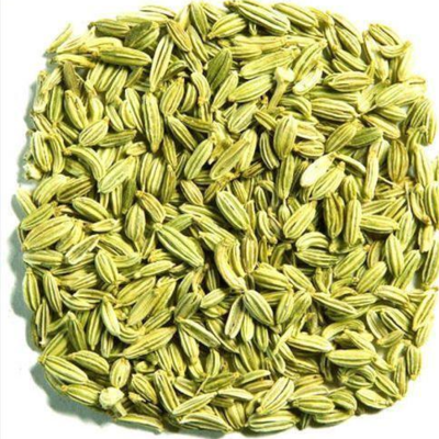 resources of Fennel  seed exporters