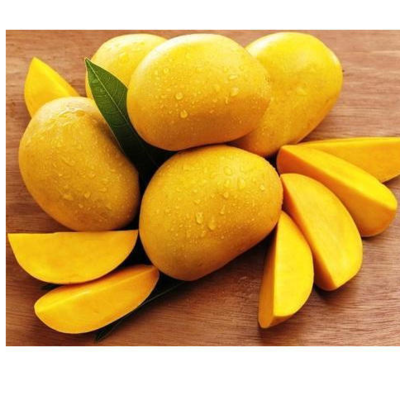Mango Exporters, Wholesaler & Manufacturer | Globaltradeplaza.com