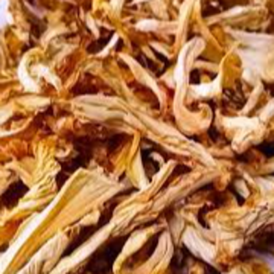 resources of Dried Mushrooms exporters