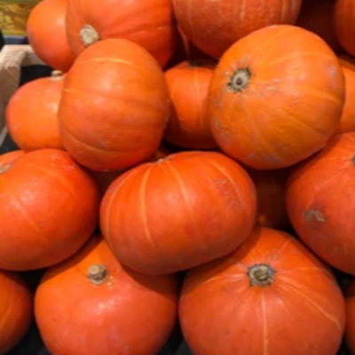 resources of Pumpkin exporters