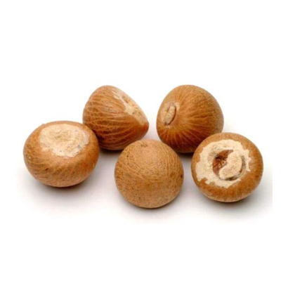resources of Bettel Nut exporters