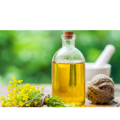 resources of Canola oil exporters