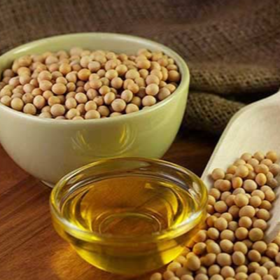 resources of Soybean oil exporters