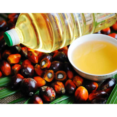 resources of Palm oil exporters
