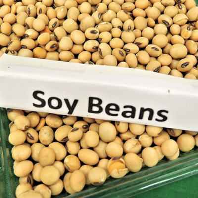 resources of Soya Bean Non-Gmo (Brazilian) exporters