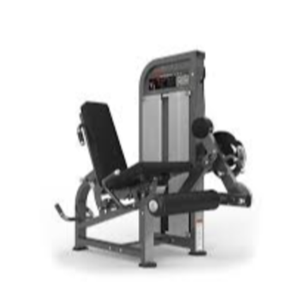 resources of leg curl exporters