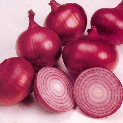 resources of RED ONION exporters
