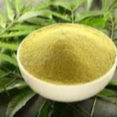 resources of Organic Neem Leaves Powder exporters