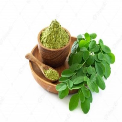 resources of Organic Moringa Leaves Powder exporters