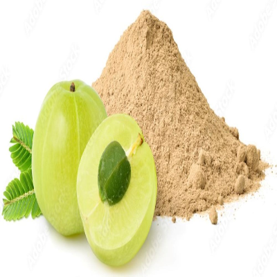 resources of Natural Amala dehydrated fruit Powder exporters