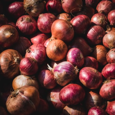 resources of Fresh Onion exporters