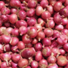 Fresh Onion Exporters, Wholesaler & Manufacturer | Globaltradeplaza.com