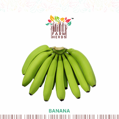 resources of Banan exporters