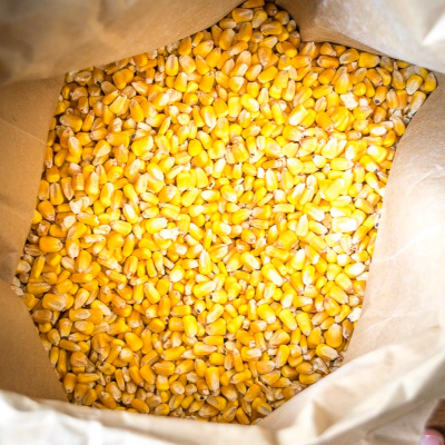 resources of Yellow Maize exporters