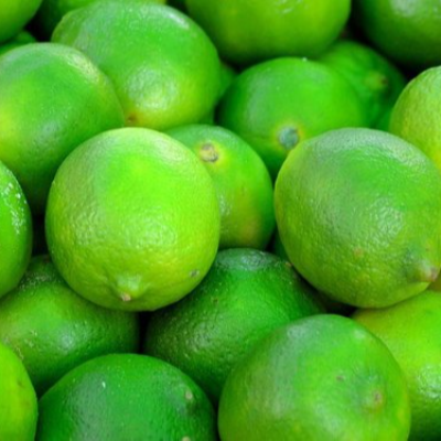 resources of Lemon exporters