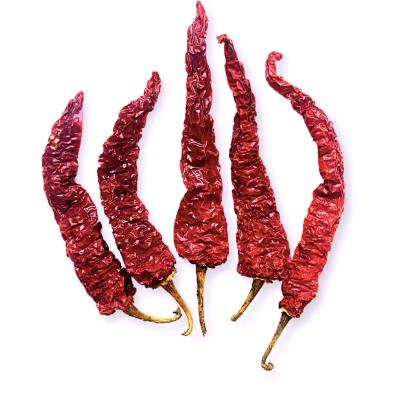 resources of Dry REd Chilli, Kashmiri chilli byadgi chilli Teja Chilli exporters