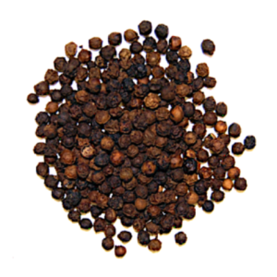 resources of Black pepper whole and powder exporters