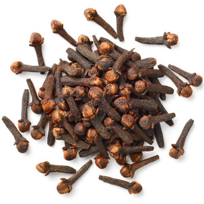 resources of Cloves exporters