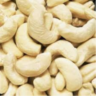 resources of Cashew Kernel & Cashew Nut exporters