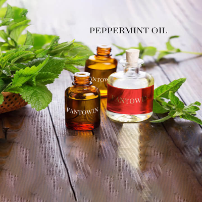 resources of peppermint oil exporters