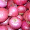 Quality red & White onion Exporters, Wholesaler & Manufacturer | Globaltradeplaza.com