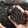 High Quality Black Pepper Exporters, Wholesaler & Manufacturer | Globaltradeplaza.com
