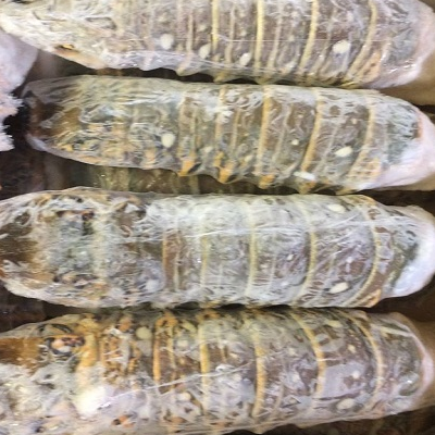 Frozen Lobster / Frozen Lobster Tails / Fresh Live Lobsters Exporters, Wholesaler & Manufacturer | Globaltradeplaza.com