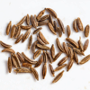 Cumin Seed Exporters, Wholesaler & Manufacturer | Globaltradeplaza.com