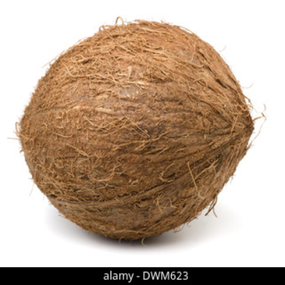 resources of Husk Coconut exporters