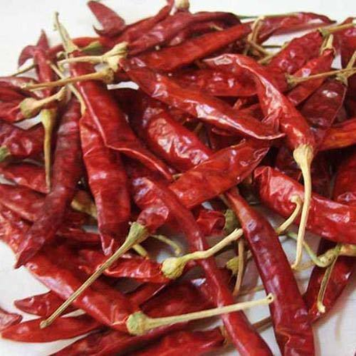 resources of Red Dry Chillies exporters