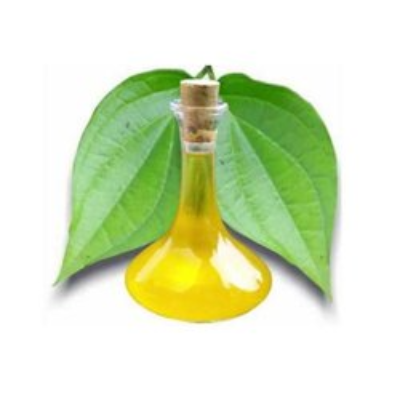 resources of Essential Betel Leaf Oil exporters