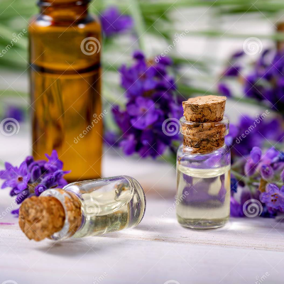 resources of Lavender - Essential Oil exporters