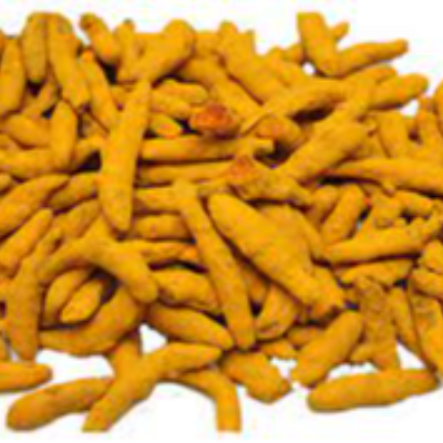 resources of TURMERIC FINGER exporters