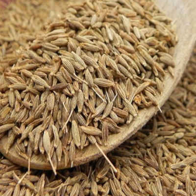 resources of cumin seeds exporters