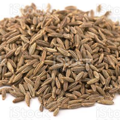 resources of jeera singapore quality cumin exporters