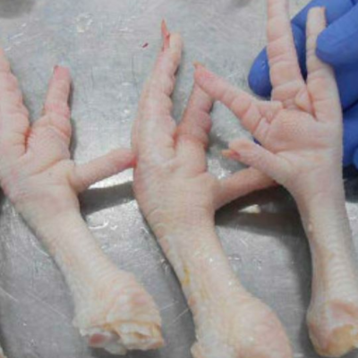 resources of Chicken Feet and Paw for sale exporters