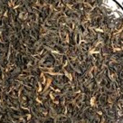 resources of Darjeeling & Assam Tea exporters