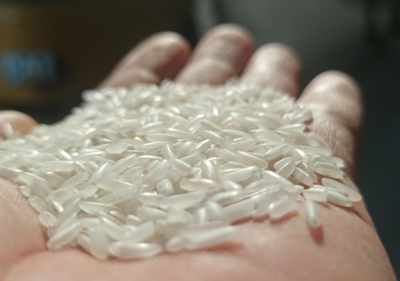 resources of Rice IR 46 exporters