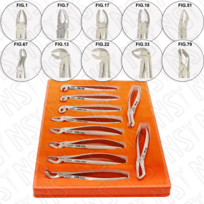 resources of TOOTH EXTRACTION FORCEPS ADULT SET OF 10 PCS EUROPEAN PATTERN exporters