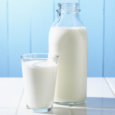 resources of Dairy food items exporters