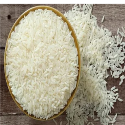 resources of RICE exporters