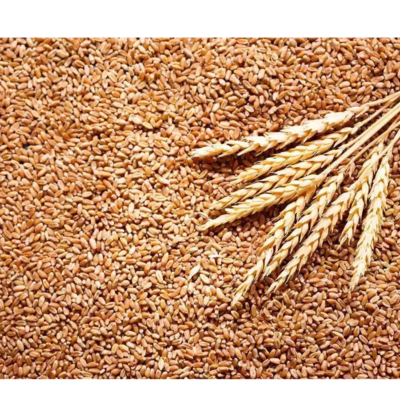 resources of WHEAT exporters