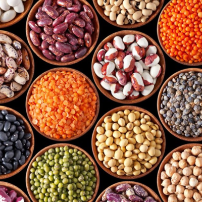 resources of pulses exporters