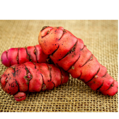 resources of Yams exporters