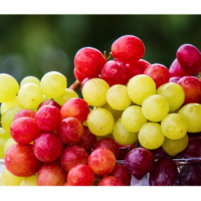 resources of GRAPES exporters