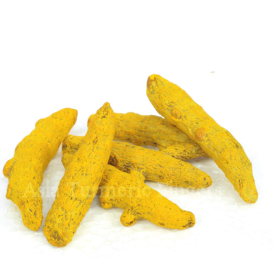 resources of TURMERIC FINGER exporters