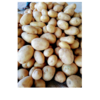Potato Exporters, Wholesaler & Manufacturer | Globaltradeplaza.com